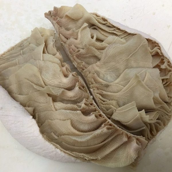 Frozen Beef Omasum