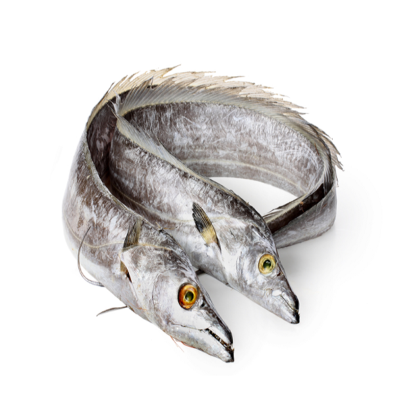 Frozen Ribbon Fish