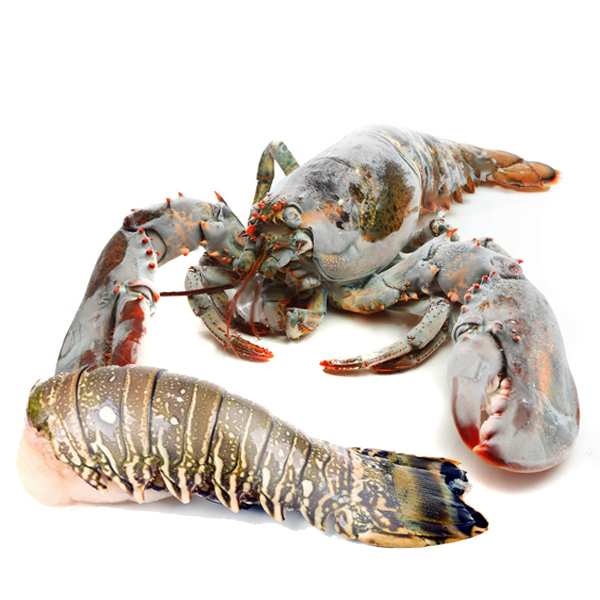 Lobster / Frozen Lobster Tail